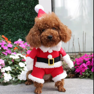 Funny Christmas Pet Costume – Santa Outfit for Dogs & Cats, Warm Winter Clothes
