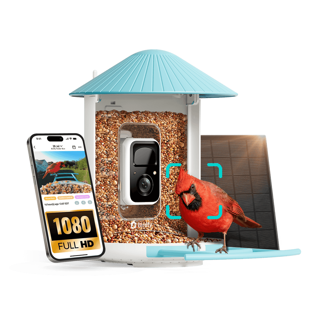 Birdfy Feeder with Solar Panel - Solar-Powered Smart Bird Feeder with Camera