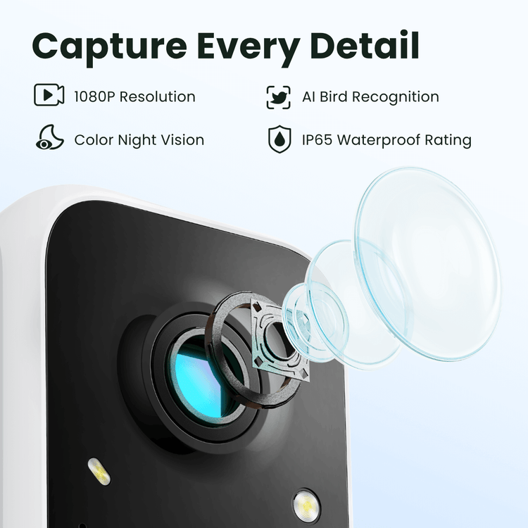 Birdfy Feeder with Solar Panel - Solar-Powered Smart Bird Feeder with Camera