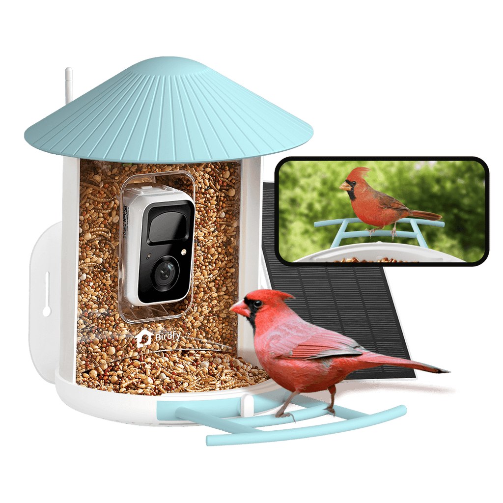 Birdfy Feeder - AI-Powered Smart Bird Feeder with Camera