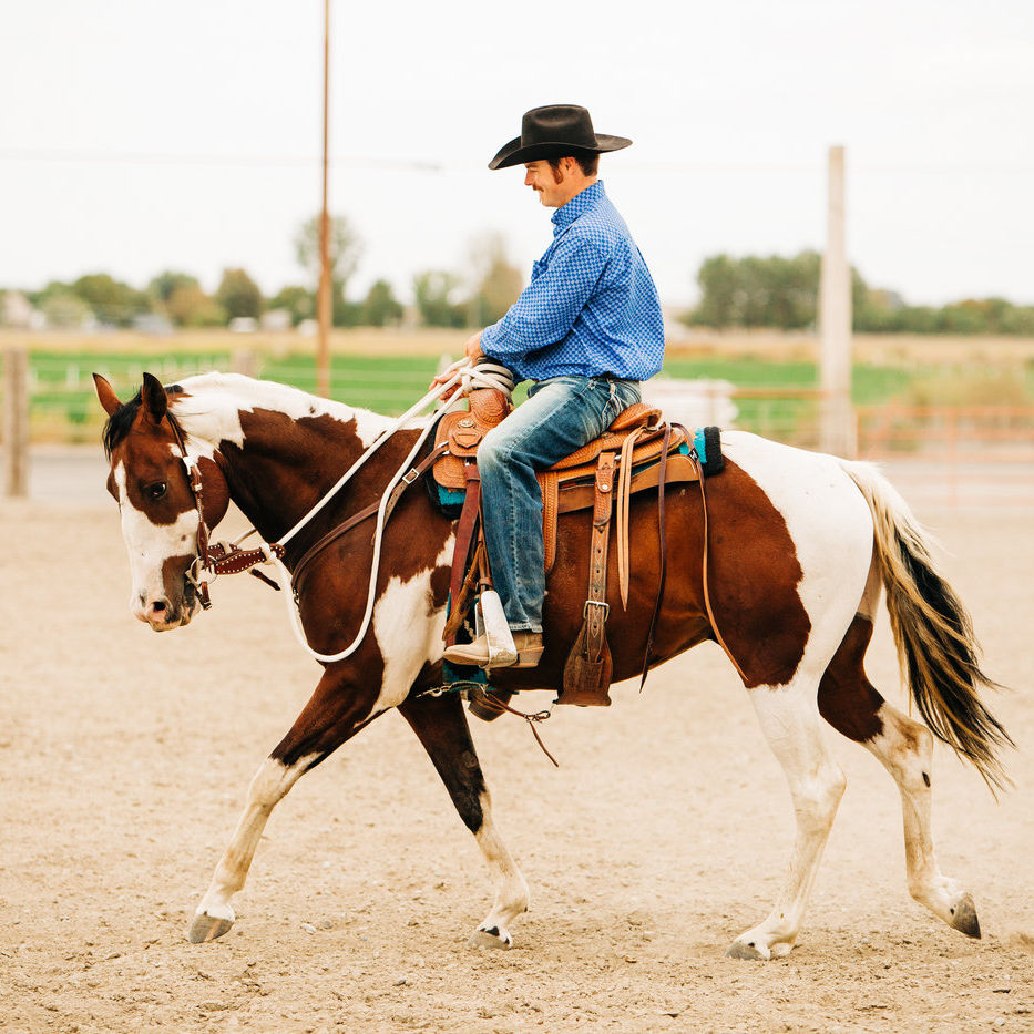 22 Ft Clinician Mecate Reins