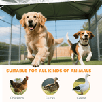 Dog Kennel