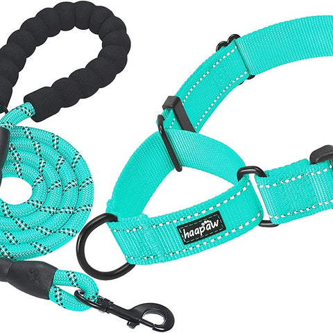 2 Packs Dog Training Collars for Small Medium Large Dogs