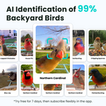 Birdfy Feeder with Solar Panel - Solar-Powered Smart Bird Feeder with Camera