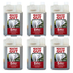 Jeffers Healthy Gut Gastric Support Liquid Supplement for Horses