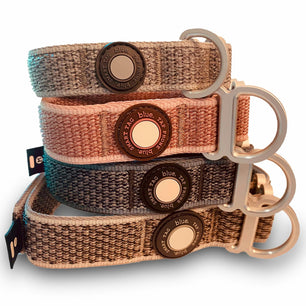 Premium Dog Collar by Blue Small Feathered Rose