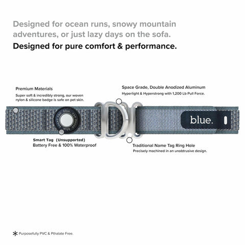 Premium Dog Collar by Blue Small Feathered Rose