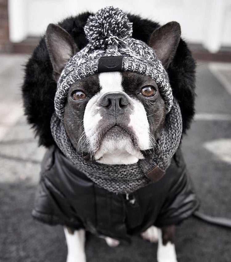 Autumn Winter Warm Knitted Pet Hats With Fluffy Ball
