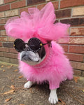 Haute Couture Feathered Luxury Pet Sweater