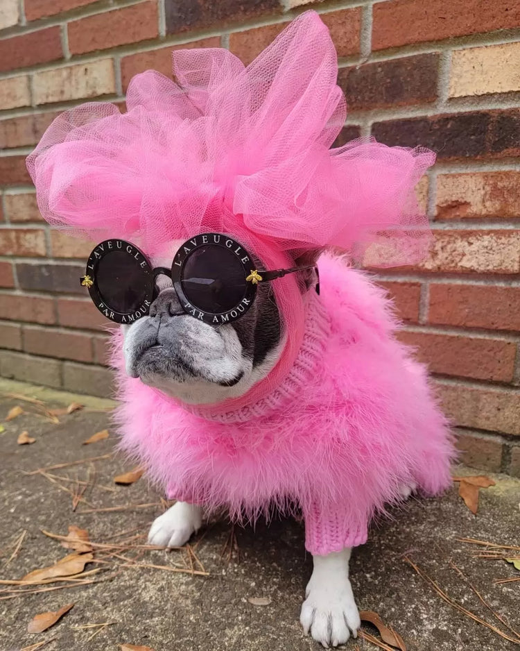 Haute Couture Feathered Luxury Pet Sweater