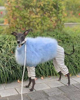 Haute Couture Feathered Luxury Pet Sweater