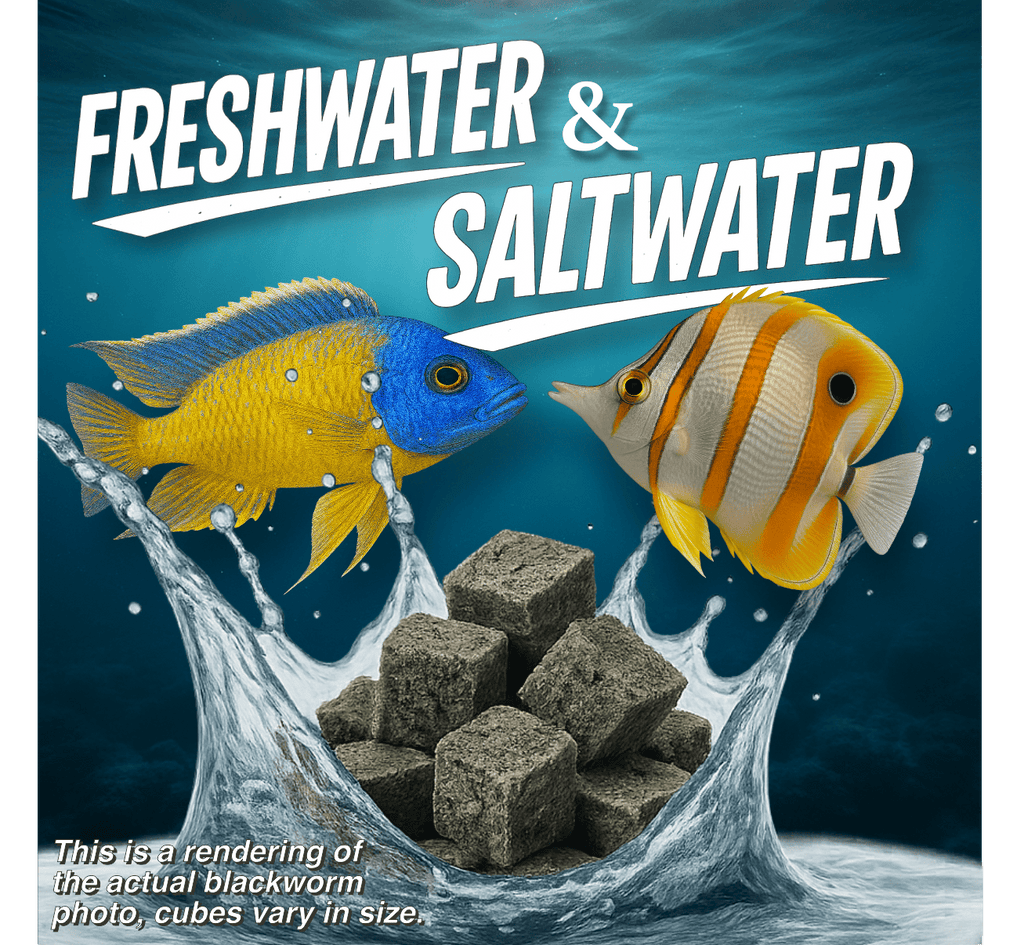 Super Cichlids Freeze-Dried Blackworms (All Natural, High Protein Fish Food)