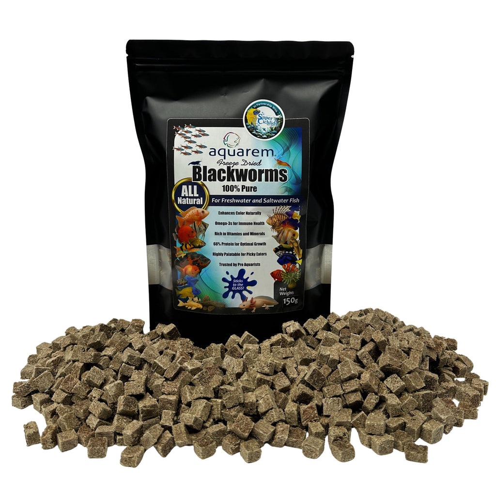 Super Cichlids Freeze-Dried Blackworms (All Natural, High Protein Fish Food)