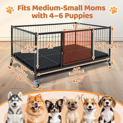 43